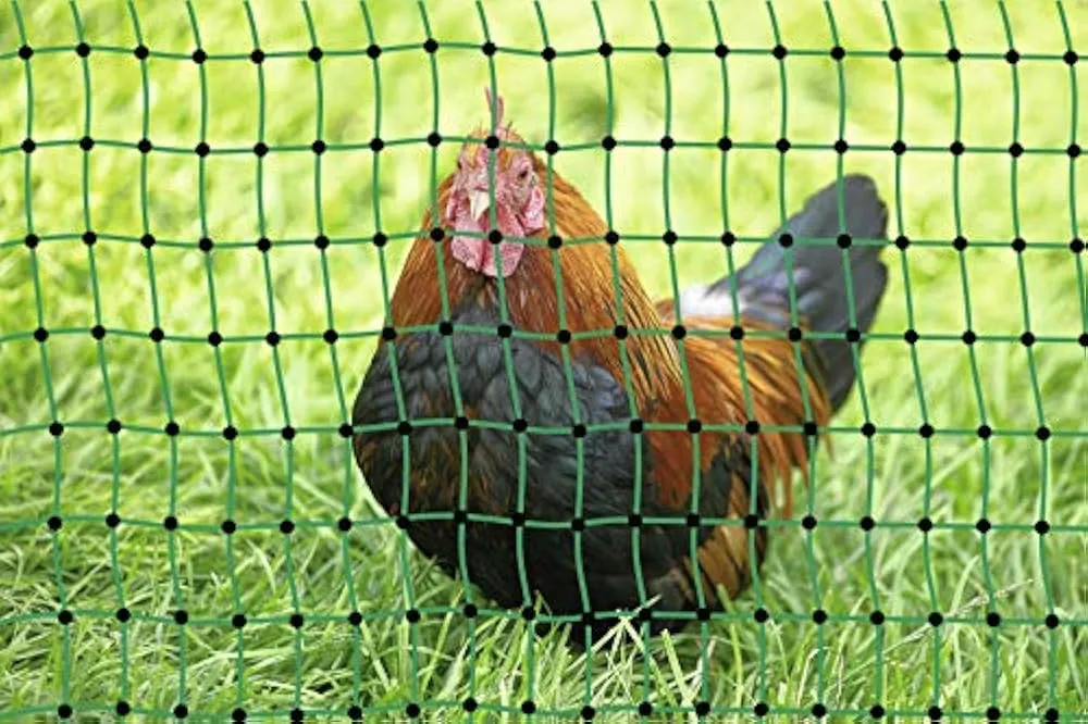 Сетка для птицеводства и животноводства: как выбрать прочное и безопасное решение