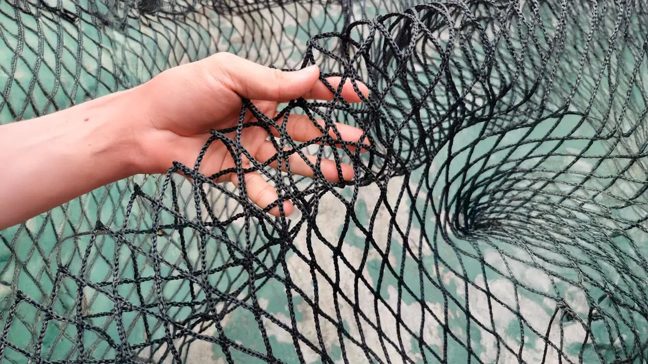 Все решения