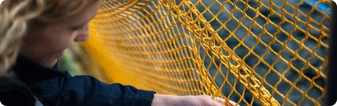 Все проекты