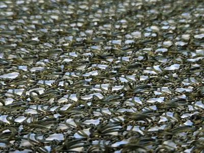 Комплексная защита объекта: как сочетать ЗУС, антидроновые и маскировочные сетки